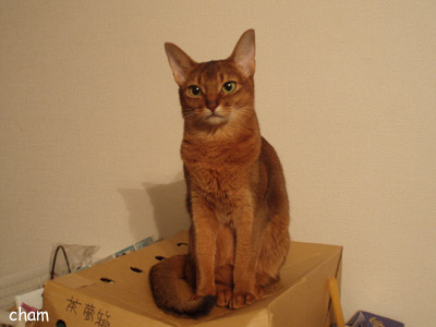 c0132438_22472971.jpg