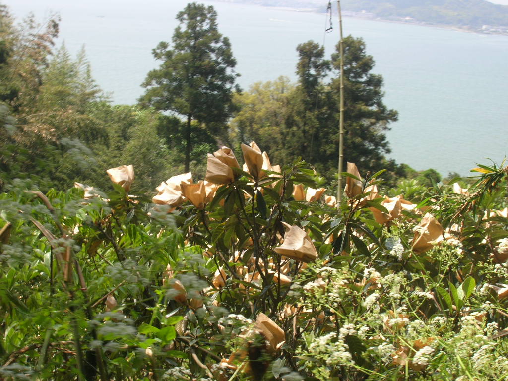 c0177238_134982.jpg