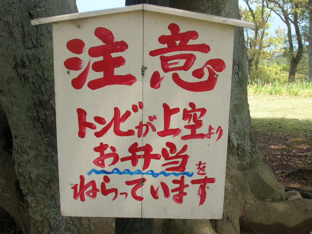 c0177238_13542591.jpg