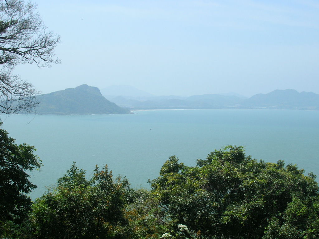 c0177238_1435880.jpg