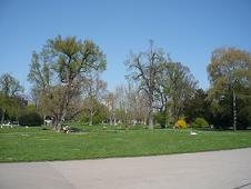 c0198438_1839171.jpg