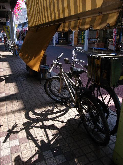 a0087341_1037572.jpg