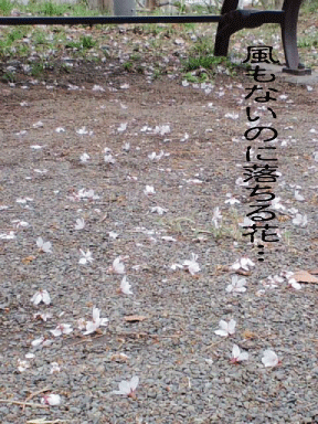 d0002143_015510.gif