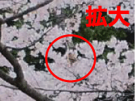 d0002143_0181556.gif