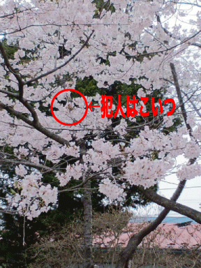 d0002143_0182634.gif