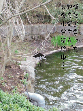 d0002143_031568.gif