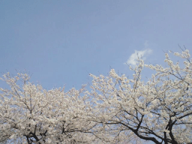 d0002143_22524671.gif