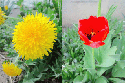 d0002143_22552514.gif