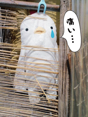 d0002143_2324982.gif