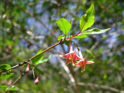 c0179351_20472981.jpg