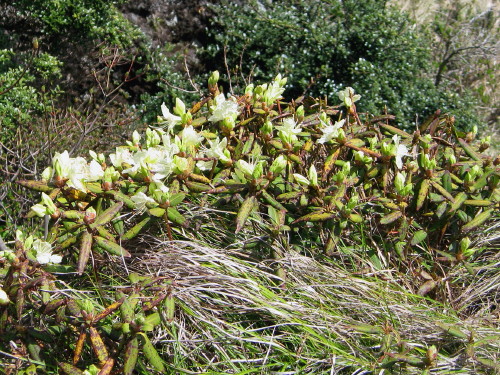 c0179351_20483834.jpg