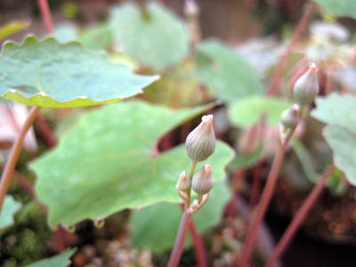 c0147952_9123861.jpg