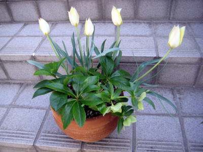 c0147952_9552139.jpg