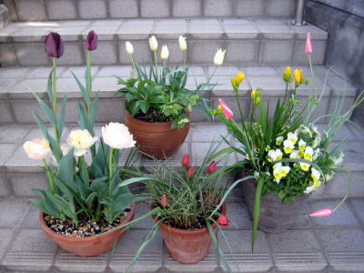 c0147952_9554561.jpg
