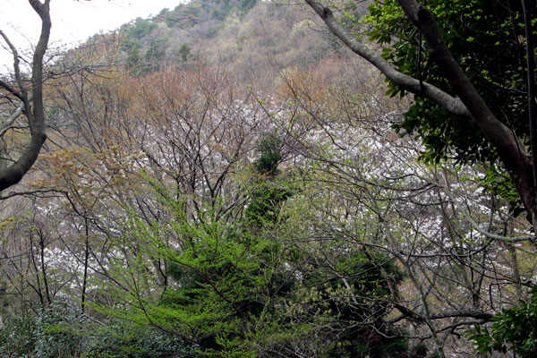 f0007956_11381729.jpg