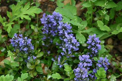b0120159_22303826.jpg
