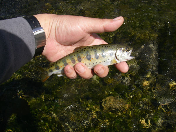 b0053660_19315560.jpg