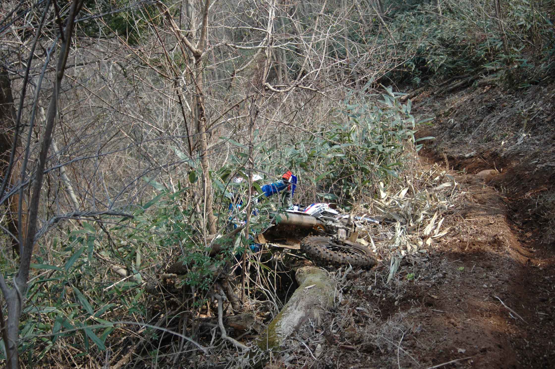 c0198263_9411259.jpg