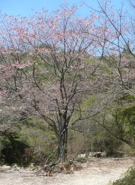 a0063364_21554368.jpg