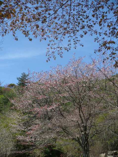 a0063364_21555614.jpg