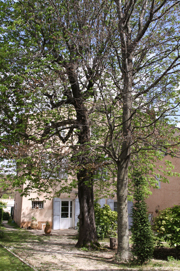 f0107364_2157558.gif
