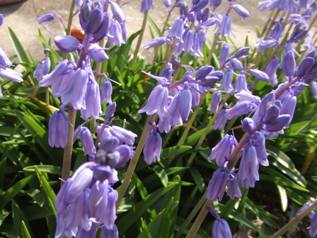 e0130465_14405162.jpg