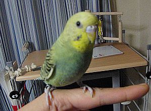 f0196665_0103514.jpg