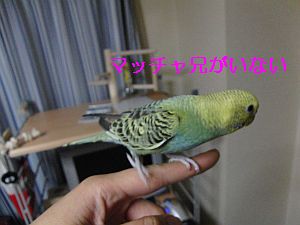 f0196665_033372.jpg