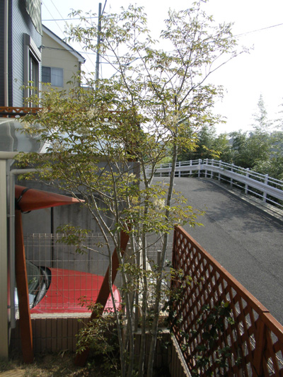 c0122670_23345910.jpg