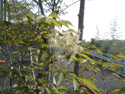 c0122670_23352676.jpg