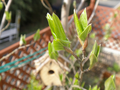 c0122670_23362039.jpg