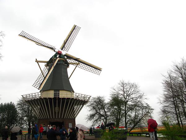 f0113371_5192778.jpg