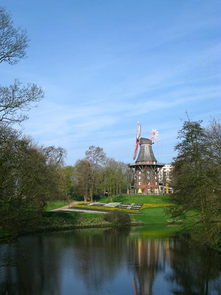 f0113371_5345290.jpg