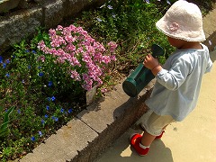 e0100275_0412969.jpg