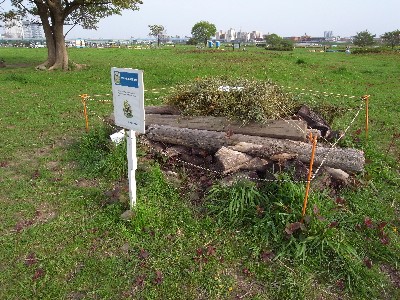 c0091679_2371424.jpg