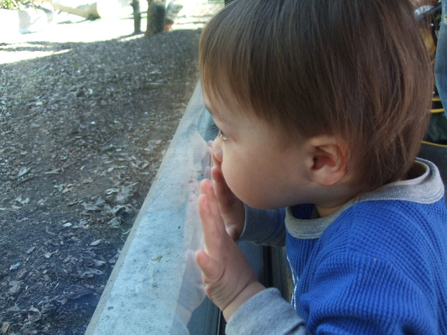 e0123680_131113.jpg