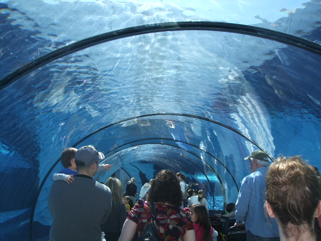 e0123680_13218100.jpg
