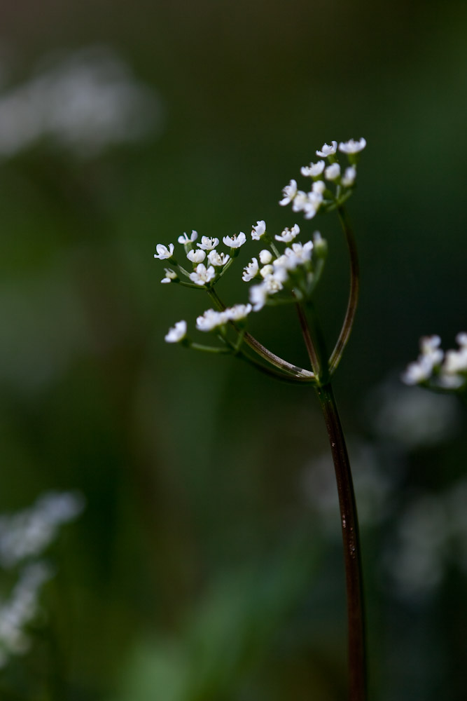 a0083081_17384070.jpg