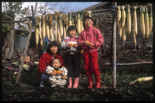 c0195281_1741949.jpg