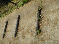 f0153383_10334843.jpg