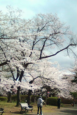 e0175288_108198.jpg