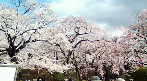 e0175288_1092091.jpg