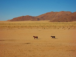 a0003089_925794.jpg