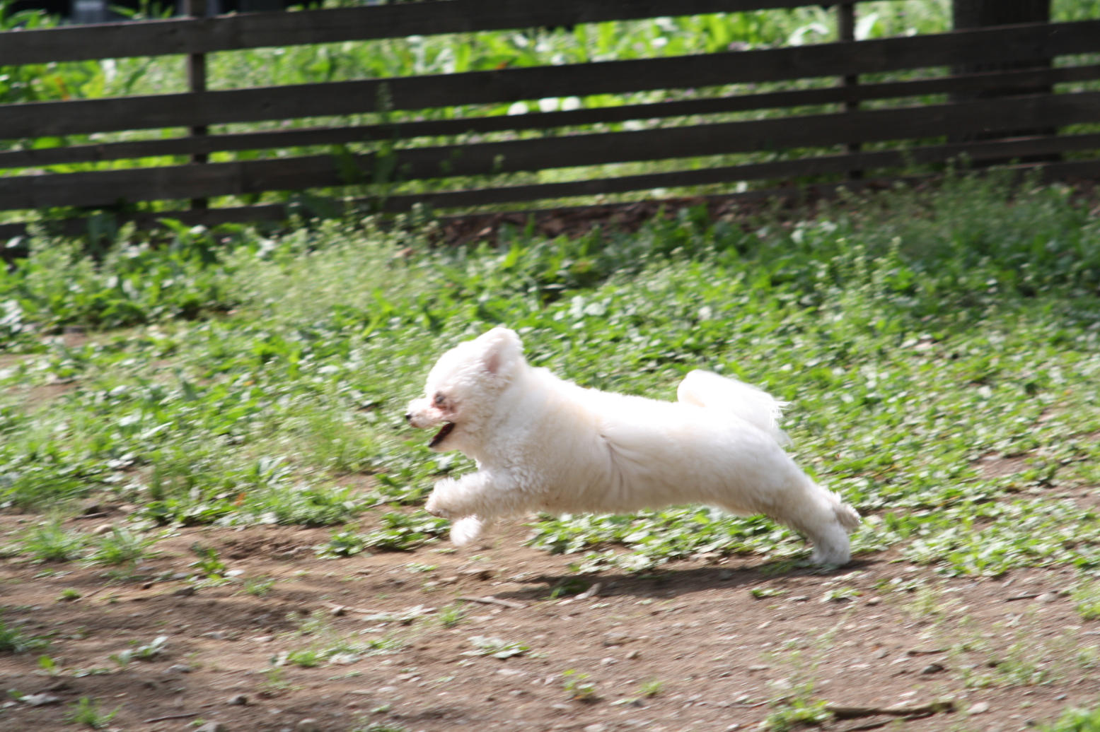 b0151893_2012168.jpg