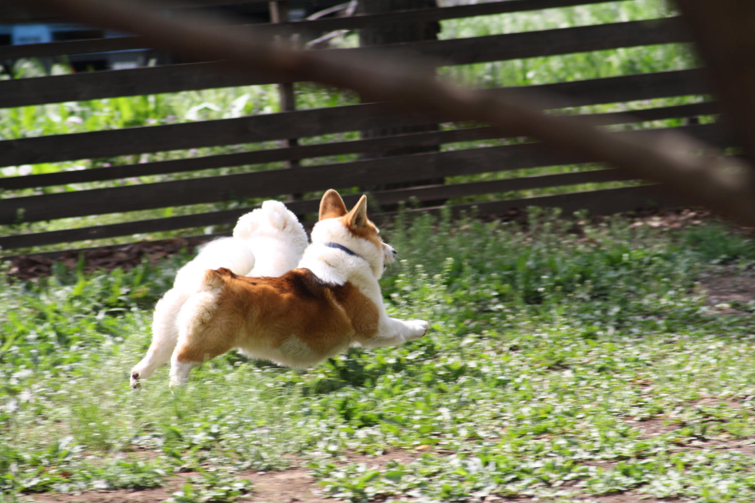b0151893_20123265.jpg