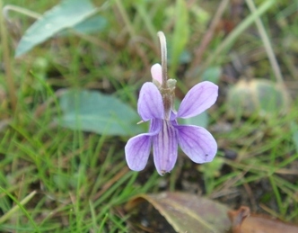 e0111793_16362677.jpg