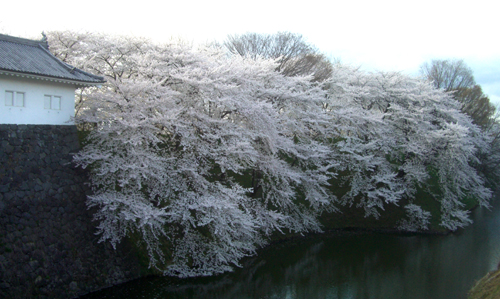 b0099994_14512789.jpg