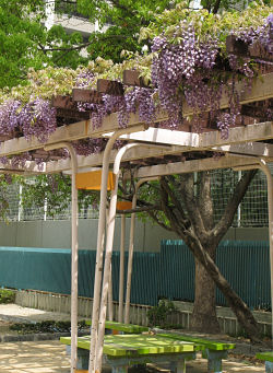 f0103797_17232551.jpg
