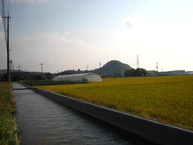 d0121300_2243044.jpg