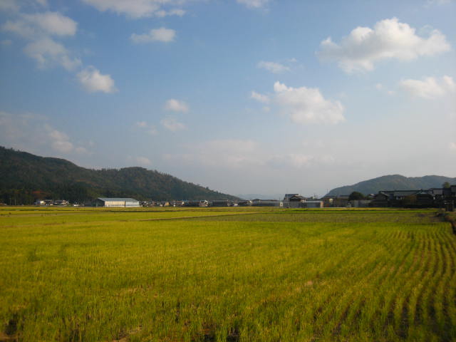 d0121300_2244584.jpg